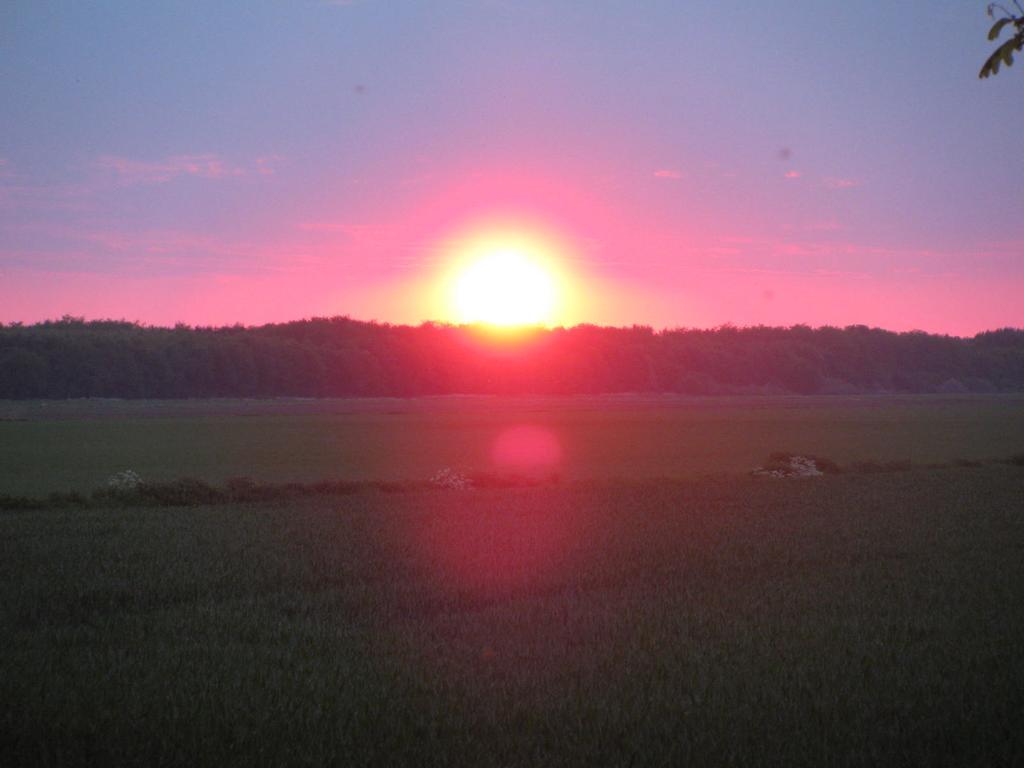 Rustherberg Valthermond Exteriör bild